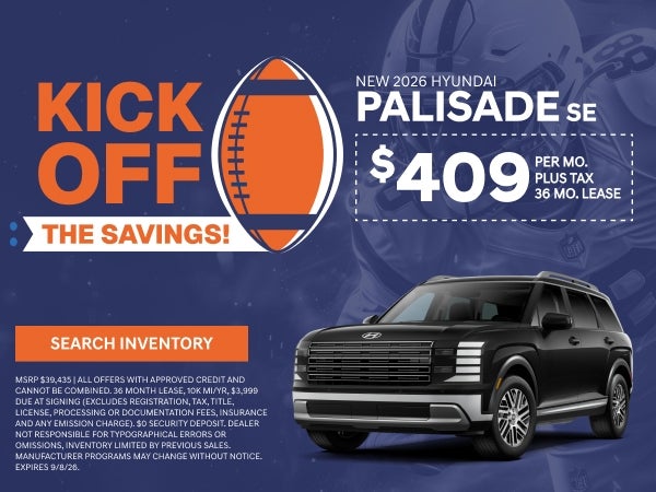 NEW PALISADE