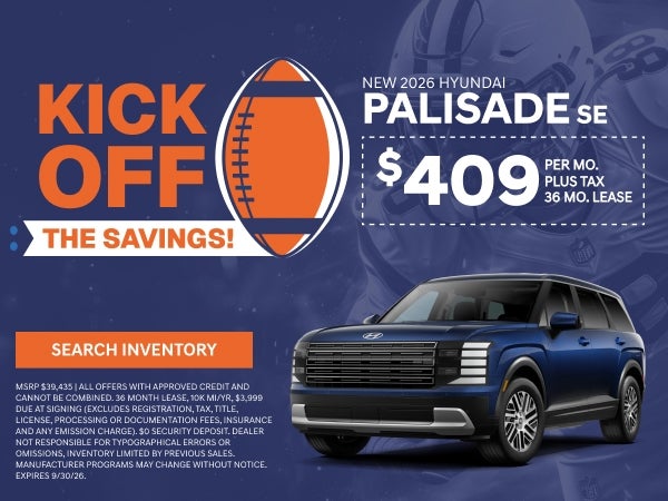 NEW PALISADE